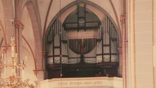 Romantische Feith Orgel in Steinfeld Oldenburg Das Grab ist leer [upl. by Ahsyat991]