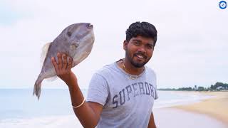 Leather jacket fish fry  தோல் கிளாத்தி மீன் பொரியல் cooking seafood [upl. by Neehahs]