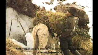 PARAMOS AguaVida y Gente Ecuador [upl. by Anyaled]