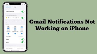 Gmail Notifications Not Working on iPhone iOS 17 Fixed [upl. by Joline935]