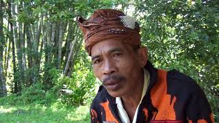 Toraja music The quotLembangquot song  Bapak Kamma [upl. by Annaet]