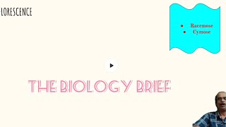 UNDERSTAND INFLORESCENCE IN JUST 10 MINUTES sureshb9256 biology morphologyoffloweringplants [upl. by Ondine]