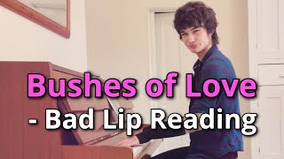 Bushes of Love  Bad Lip Reading cover [upl. by Cohin]