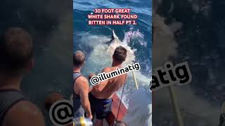 30 FOOT GREAT WHITE SHARK FOUND BITTEN IN HALF PT 2 [upl. by Ajaj]