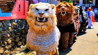 ASMR Lion Dance and drumband parade in the village of Cumedak [upl. by Lecroy]