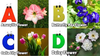 Flowers ABC Song for Kids  Phonics for Kids  English Alphabet Letters [upl. by Polard]