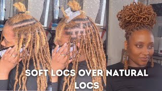 Transforming Natural Locs with Soft Locs locprotectivestyle [upl. by Toddy]