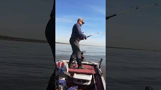 Delaware river striped bass fishing delawareriver stripedbassfishing rockfish [upl. by Isherwood]