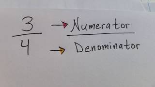 Fractions with Numerator and Denominator [upl. by Flin]