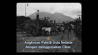 Pabrik Gula Sedatie Ngoro Mojokerto tahun 1915 [upl. by Biles]