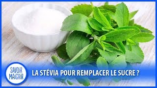 La stévia pour remplacer le sucre [upl. by Htrow271]