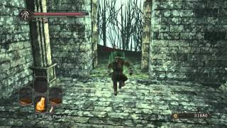 Dark Souls 2 Scholar of the First Sin Sublime Bone Dust Locations  Shaded Ruins [upl. by Einavoj]