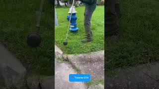 4168002840 Snow shovelingSnow removal serviceSnow clearingGrass cuttingLawn mowing woodbridge [upl. by Graff294]