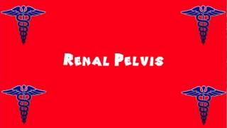 Pronounce Medical Words ― Renal Pelvis [upl. by Dearborn346]