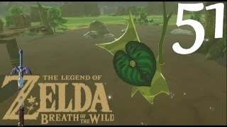 Lets Play The Legend of Zelda  Breath of the Wild  Tous les Korogu Plateau du Prélude 51 FR [upl. by Tom]