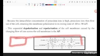 Electrotherapy llL2  part 3 [upl. by Leachim]