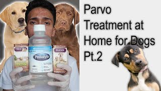 Parvo Treatment at Home for Dogs  Puppies with Parvovirus Pt2 [upl. by Edwyna]