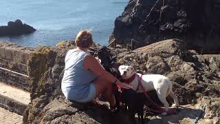 Mullion Cove Cornwall 02102015 [upl. by Anitreb]