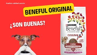 Análisis de alimento para perro Beneful Original [upl. by Prevot]