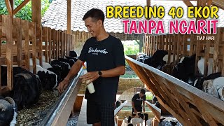 Pintar‼️Ternak Kambing Dalam Jumlah Banyak Bisa Santai ikuti Caranya [upl. by Breena]