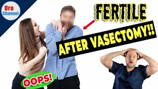 Stuff that can go wrong after vasectomy  UroChannel [upl. by Keener]