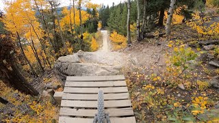 BeeAllUCanBe trail at Trestle Bike Park [upl. by Lawry]