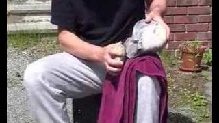 basic flint knapping [upl. by Brink511]