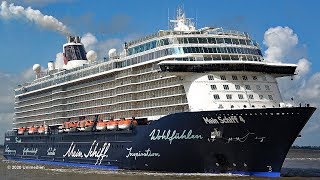 Mein Schiff 4  emotional port call in Bremerhaven to supply the TUI Cruises ship  4KVideo [upl. by Skip66]