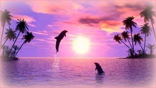 ❀ Soothing Relaxation with Dolphins [upl. by Lemraj]