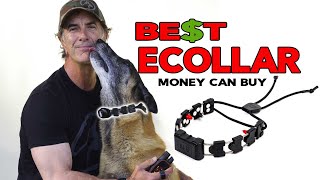 The BEST ECollar for Your DOG [upl. by Thacher]