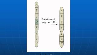 Chromosomal aberration [upl. by Kutzer]