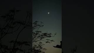 chand kab niklega delhi karwachauth chand [upl. by Icrad502]