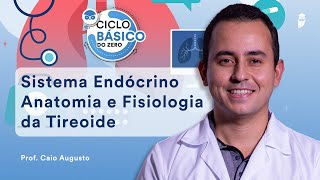 Sistema Endócrino  Anatomia e Fisiologia da Tireoide  Ciclo Básico do Zero [upl. by Kwarteng]