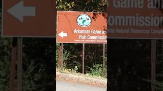 What to know ahead of Arkansas deer hunting season [upl. by Pantia748]