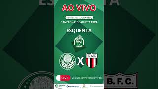 ESQUENTA WRV  PALMEIRAS X BOTAFOGO  PAULISTÃO 2024  AO VIVO [upl. by Vine103]