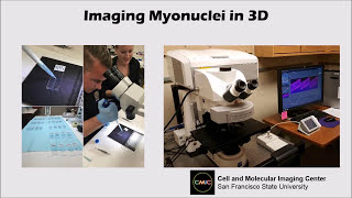 Confocal Microscopy Explained [upl. by Sregor999]