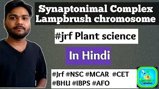 Synaptonimal Complex and Lambrush Chromosome cytogenetics genetics jrfplantscience2020 [upl. by Annatsirhc151]