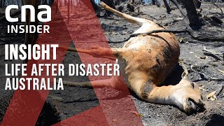 Australias Black Summer A Year On Can The Bushfires Stop Burning  Insight [upl. by Bain]