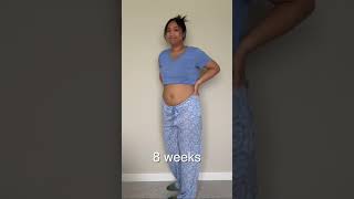 Pregnancy Journey from 8 weeks to 38 weeks pregnantlife momtobe [upl. by Moshell256]