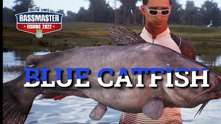 Bassmaster Fishing 2022 Blue Catfish Tips [upl. by Nagorb]