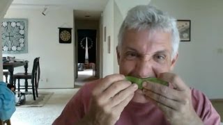 Eating aloe vera is AMAZING for your skin [upl. by Goodden]