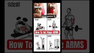 🏋️‍♂️🏋️‍♂️♥️Powerful Biceptricep all exercise tips💯😘💪 tanieh gymlover TG youtubeshorts [upl. by Leibarg184]