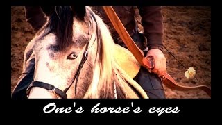 Ones Horses eyes [upl. by Hale]