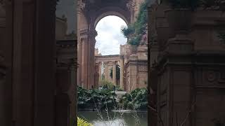 Palace of Fine Arts in San Francisco shorts [upl. by Deibel318]