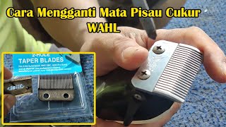 Cara mengganti mata pisau cukur WAHL mudah dan cepat [upl. by Ydolem437]