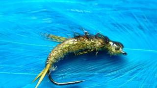 Tying a Golden Stonefly Nymph with Davie McPhail [upl. by Kired]