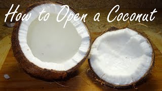 Everything you Need to Know about Opening a Coconut  How to Crack a Coconut [upl. by Bubalo34]