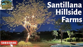 Santillana Hillside Farms  Day amp Night  A Quick Look  Camp amp Swim  DJI [upl. by Strade]