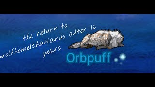 the return to wolfhome chatlands after 12 years [upl. by Ahsimaj970]