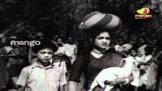 Runanubandham movie songs  Yenaatido Ee Bandham song  Nageshwar rao Anjali Devi [upl. by Reffineg]